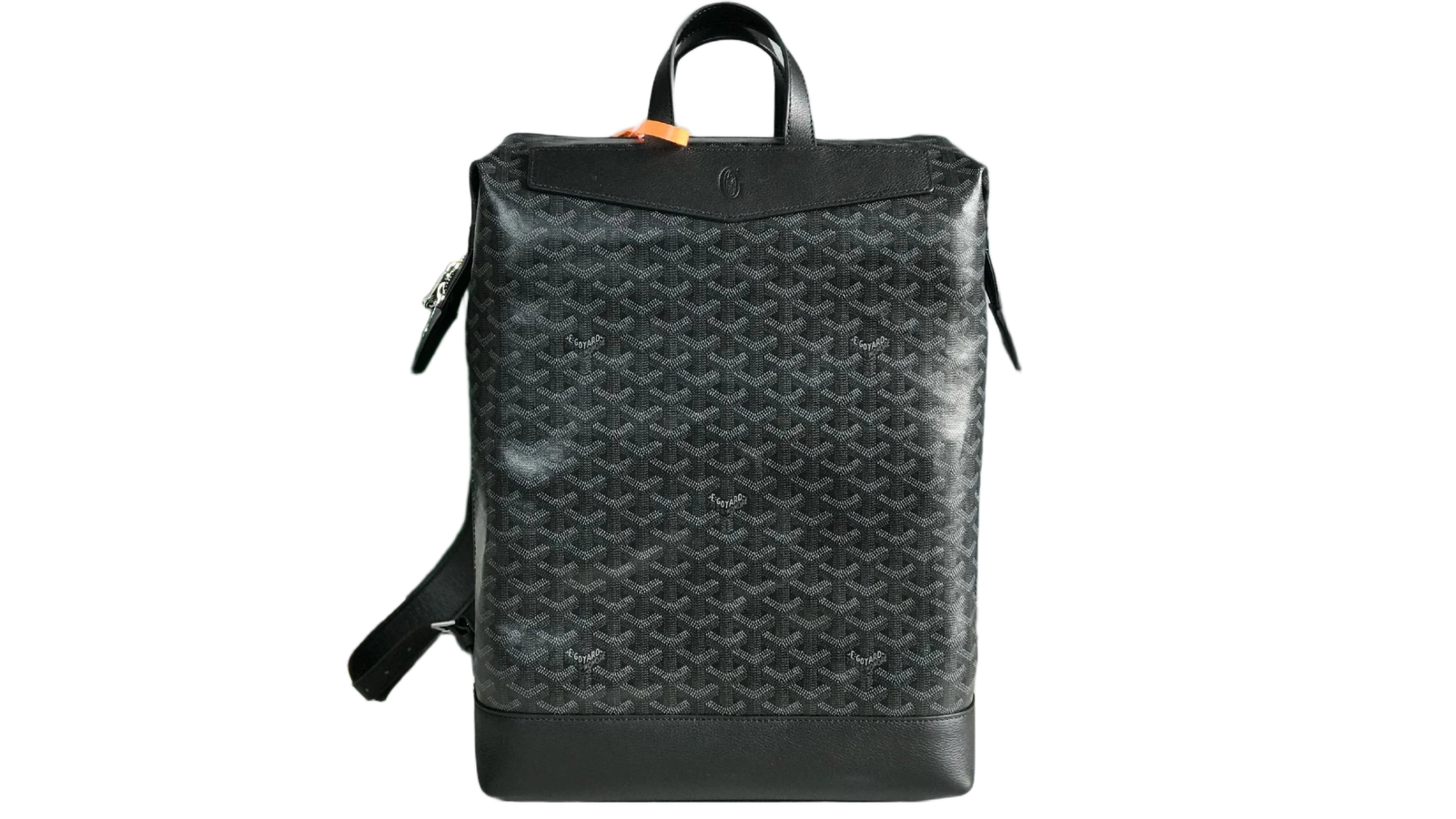 CLEANEST GOYARD BACKPACK